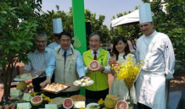 麻豆红,揭秘时尚界的璀璨新星